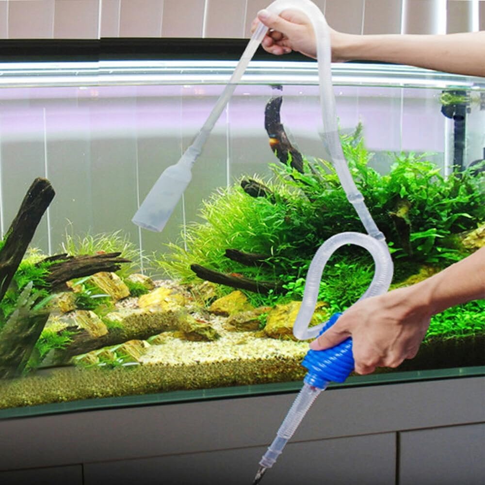 616fyYG9lLL._AC_SL1000_.jpg 616fyyg9lll. Ac Sl1000 .jpg