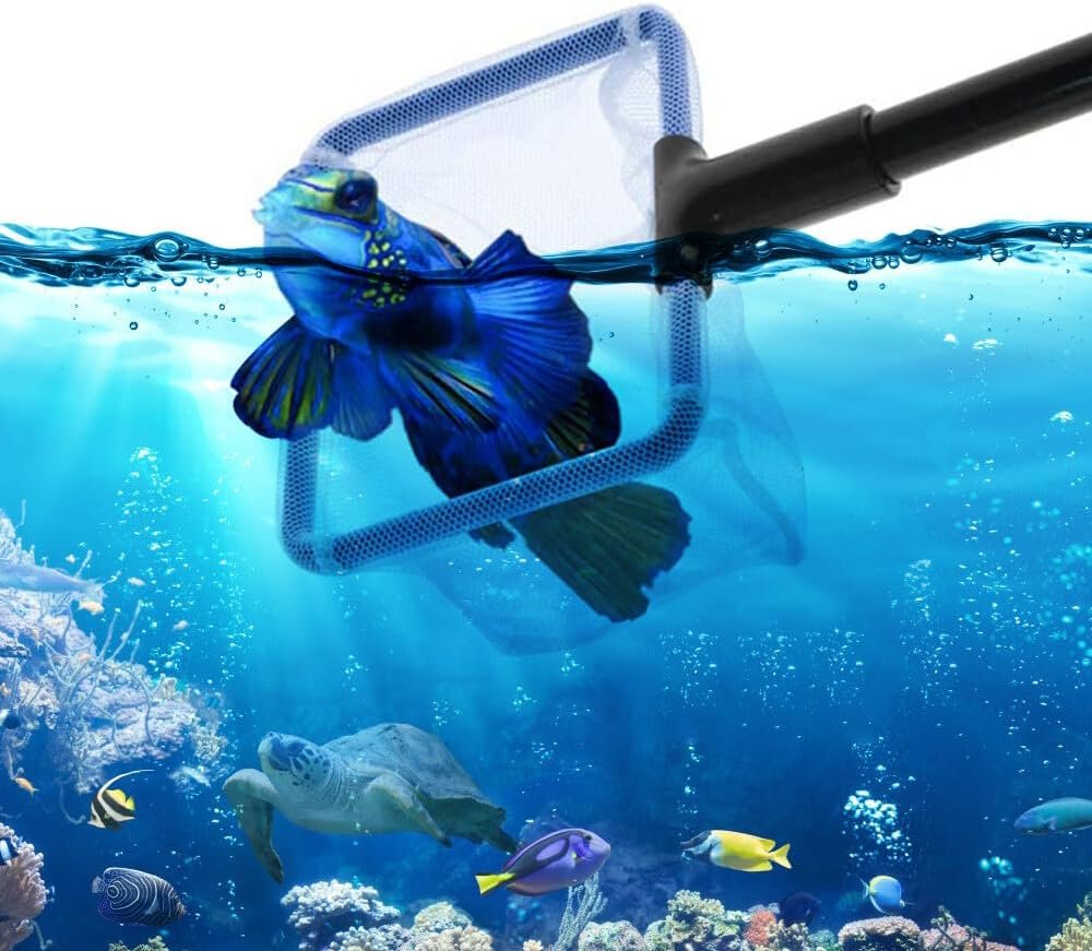 61fUNGepTjL._AC_SL1000_.jpg 61fungeptjl. Ac Sl1000 .jpg