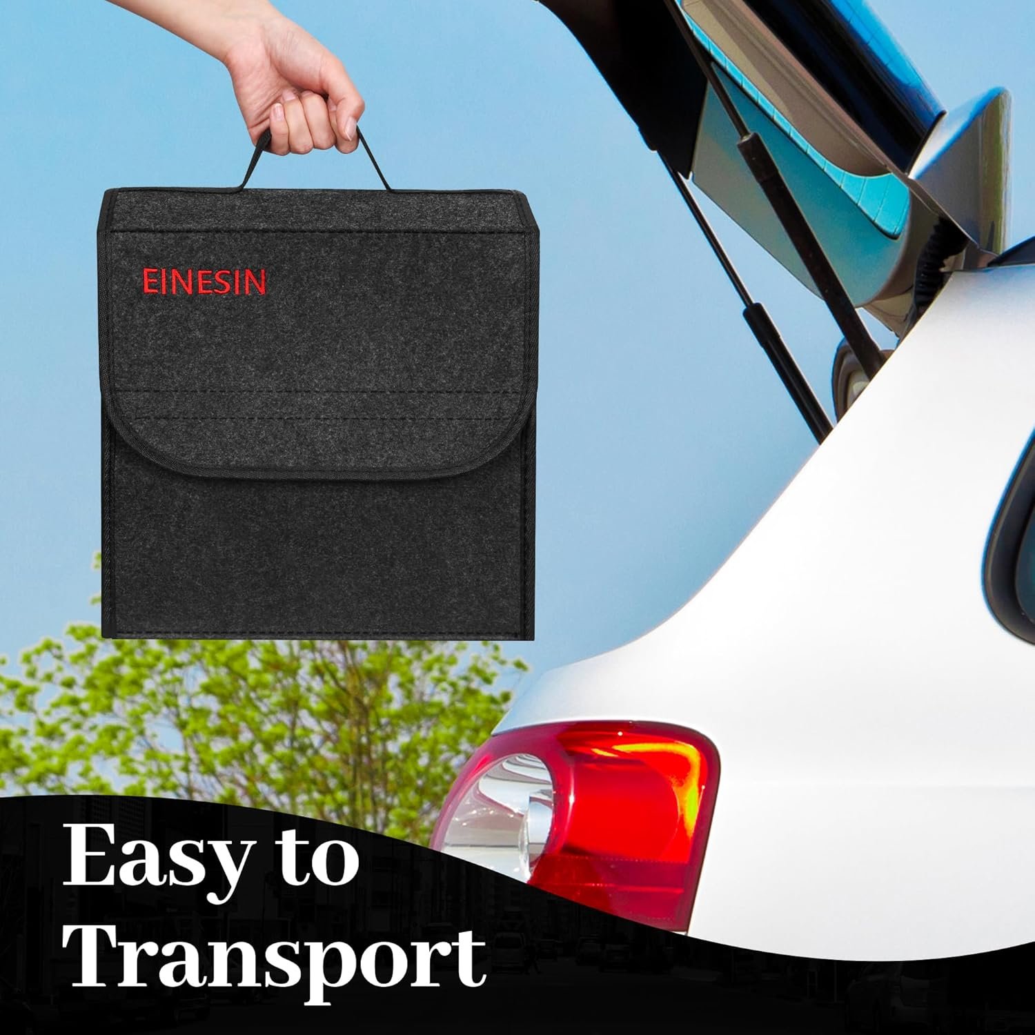 81PELf8ofvL._AC_SL1500_.jpg 81pelf8ofvl. Ac Sl1500 .jpg