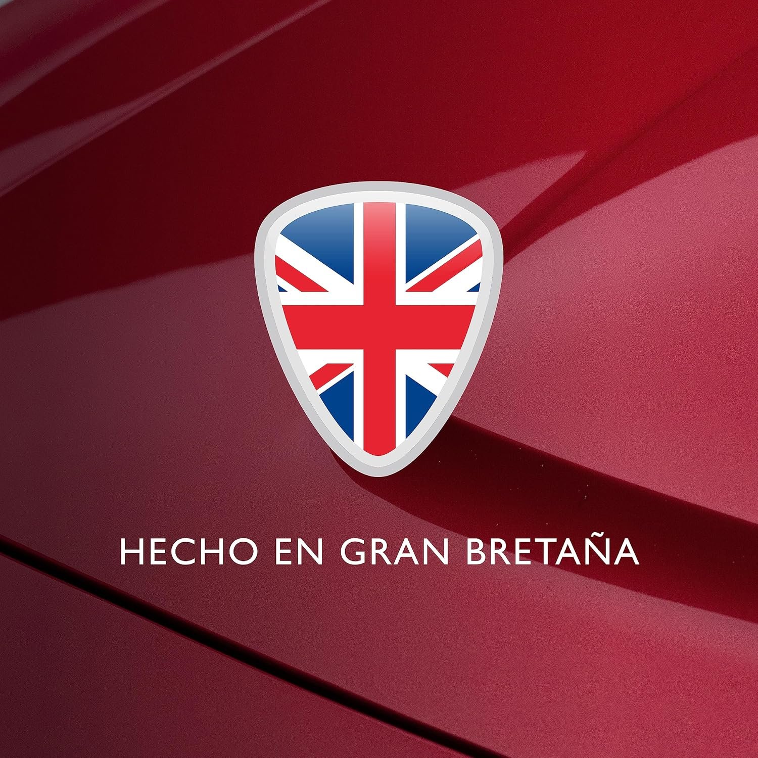 A1RMq24aytL._AC_SL1500_.jpg A1rmq24aytl. Ac Sl1500 .jpg